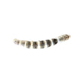 Silkworm (Bombyx mori) larva on a white background